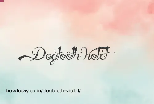 Dogtooth Violet