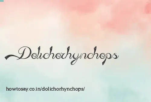 Dolichorhynchops