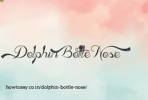 Dolphin Bottle Nose