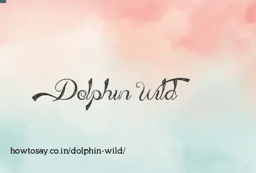 Dolphin Wild