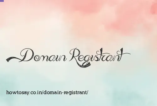 Domain Registrant