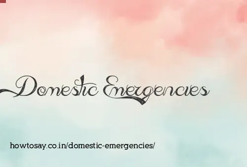 Domestic Emergencies
