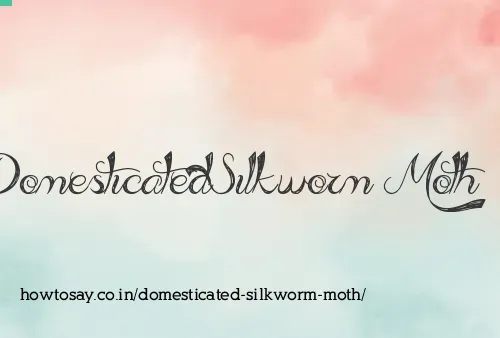 Domesticated Silkworm Moth