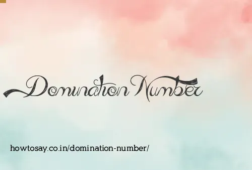 Domination Number