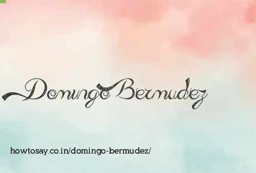 Domingo Bermudez