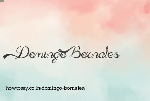 Domingo Bornales