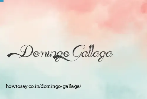 Domingo Gallaga