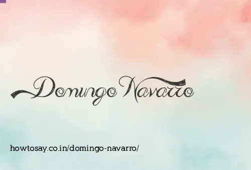 Domingo Navarro