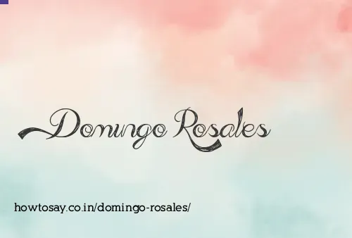Domingo Rosales