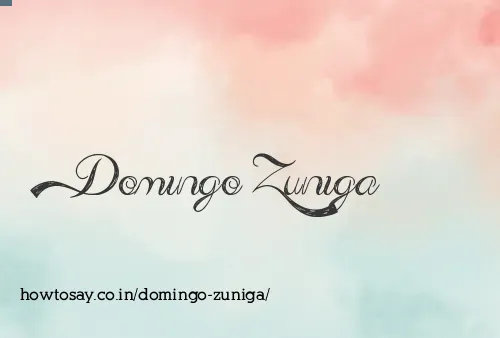 Domingo Zuniga