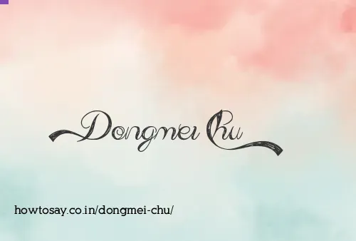 Dongmei Chu