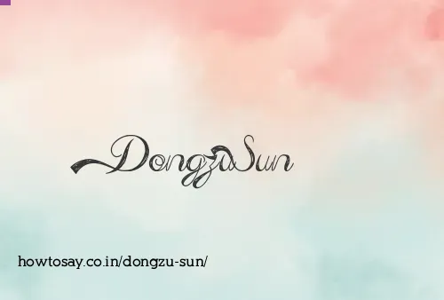 Dongzu Sun