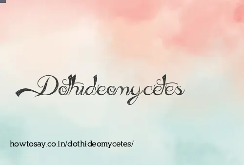 Dothideomycetes