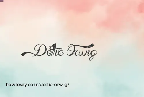 Dottie Orwig
