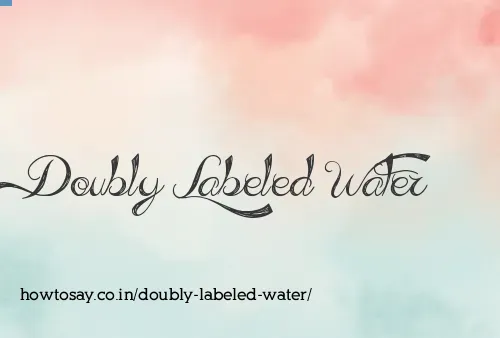 Doubly Labeled Water