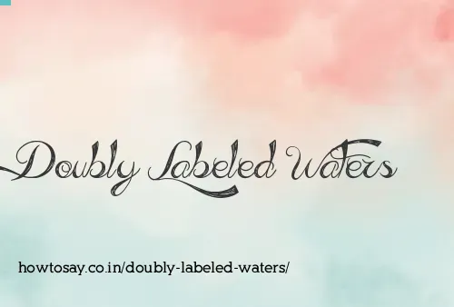 Doubly Labeled Waters