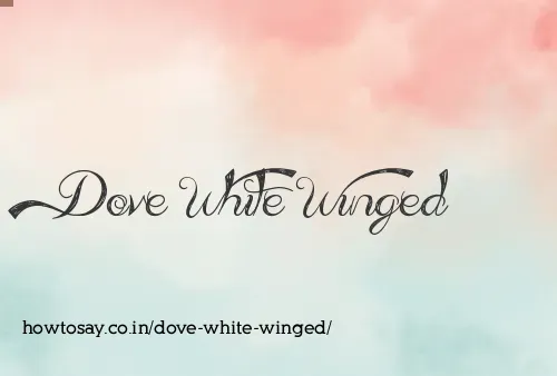 Dove White Winged