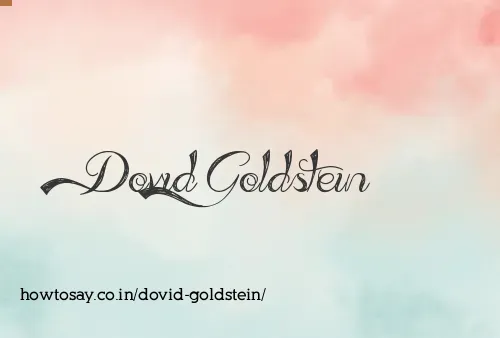 Dovid Goldstein