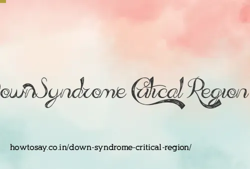 Down Syndrome Critical Region