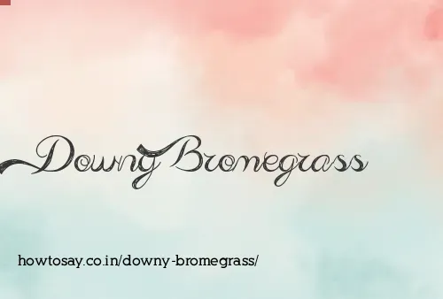 Downy Bromegrass
