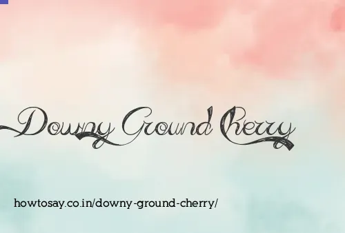 Downy Ground Cherry