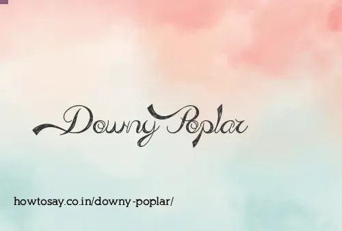 Downy Poplar
