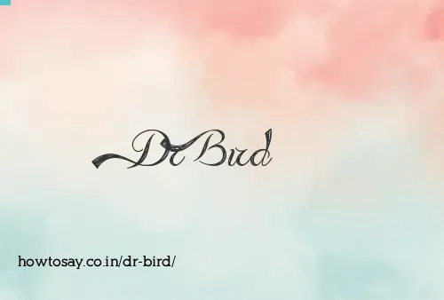 Dr Bird