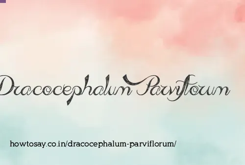Dracocephalum Parviflorum