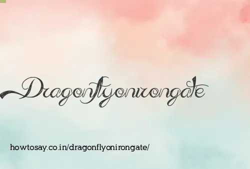 Dragonflyonirongate