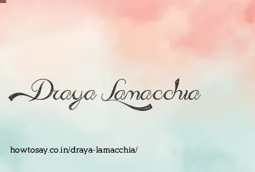 Draya Lamacchia