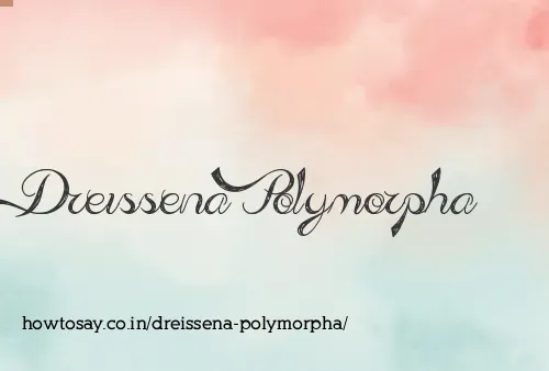 Dreissena Polymorpha