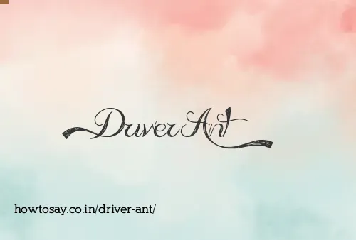 Driver Ant