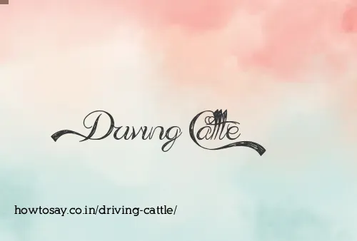 Driving Cattle
