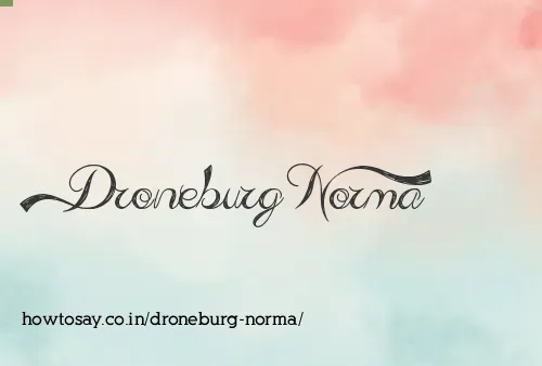 Droneburg Norma