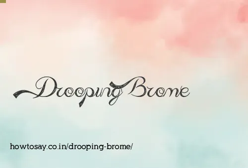 Drooping Brome