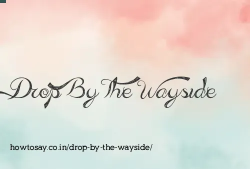 Drop By The Wayside