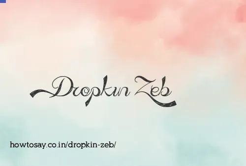 Dropkin Zeb