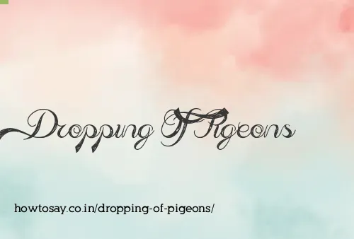 Dropping Of Pigeons