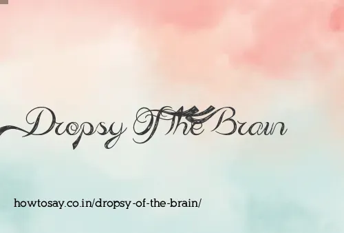 Dropsy Of The Brain