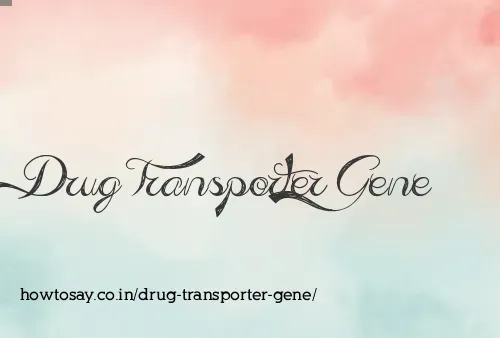 Drug Transporter Gene