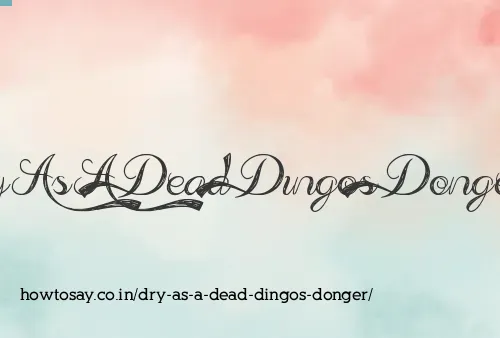 Dry As A Dead Dingos Donger