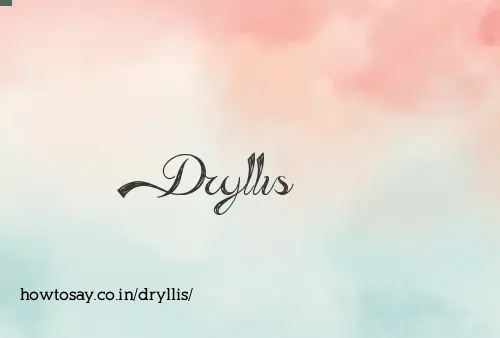 Dryllis