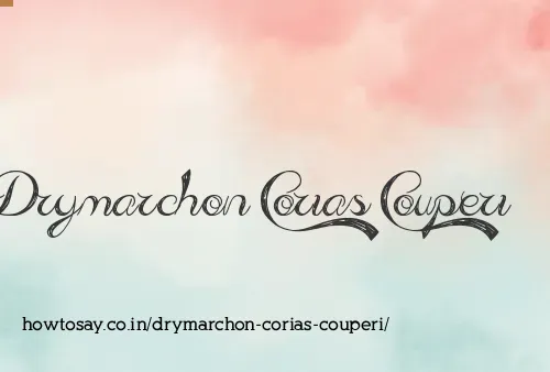 Drymarchon Corias Couperi