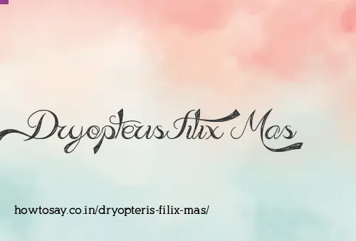 Dryopteris Filix Mas