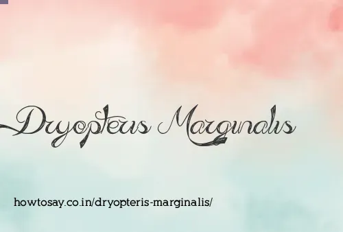 Dryopteris Marginalis