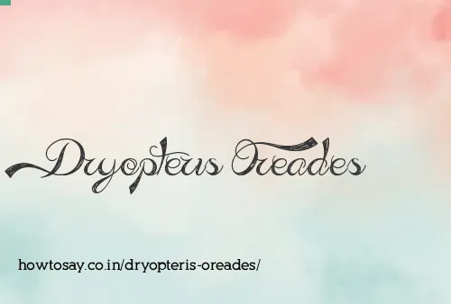 Dryopteris Oreades