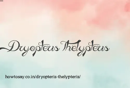 Dryopteris Thelypteris
