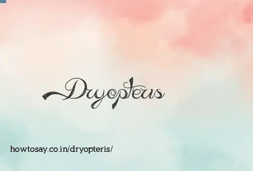 Dryopteris