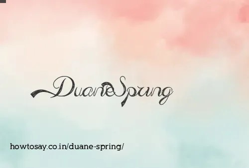 Duane Spring