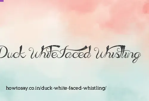 Duck White Faced Whistling
